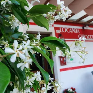  Affittacamere Chiocciola